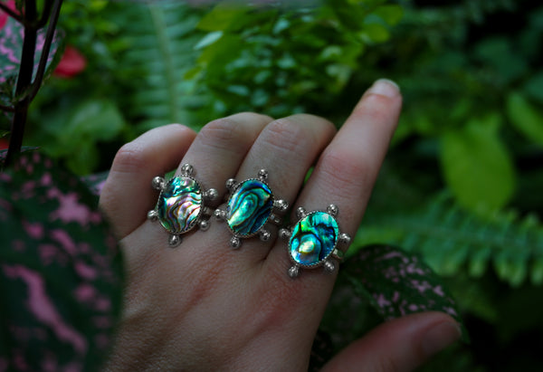 Tidepool Abalone Ring Size 7